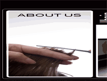 Tablet Screenshot of hairstudio104.com